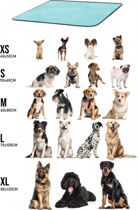 Actual product image Aspero Dog blanket Lund (Dog)