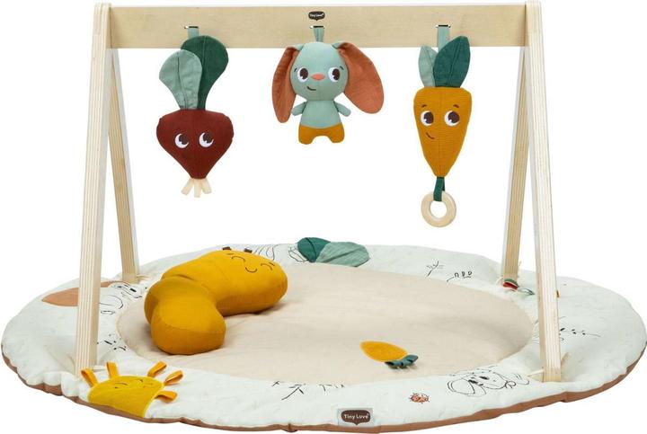 Tiny Love Luxe Gymini play mat