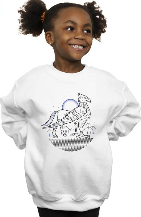 Image du produit - Sweat BUCKBEAK LINE ART - Fille (116)