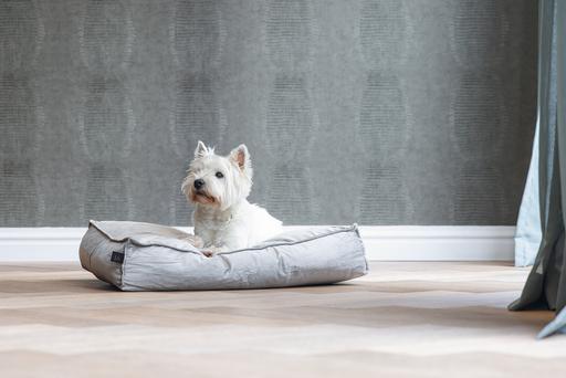 Productafbeelding Designed by Lotte Nalino (Hond)