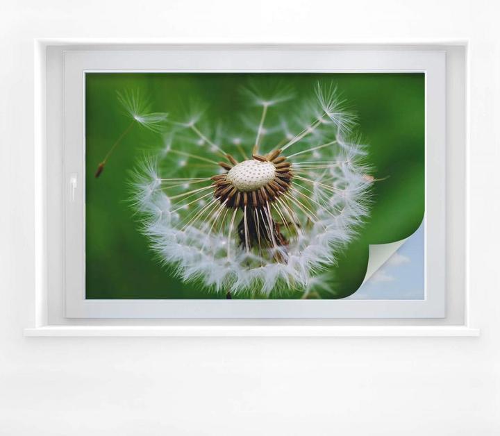 Image du produit Trenddeko Pissenlit dans le vent (75 x 50 cm)