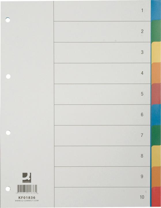 Actual product image Q-Connect Register full format made of PP, colored