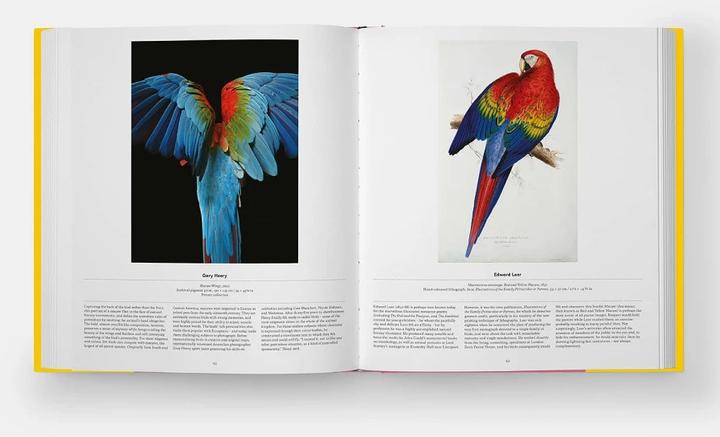 Actual product image Bird (English, Katrina van Grouw, Phaidon Editors, Jen Lobo, 2021)