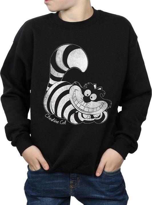 Actual product image Disney Boys Sweatshirt (128)