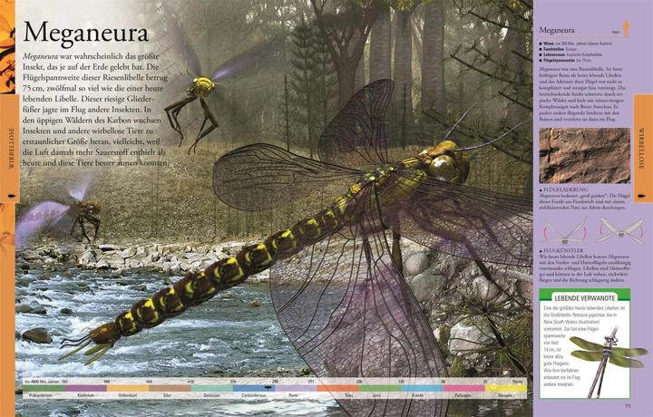 Actual product image Dinosaurier und andere Tiere der Urzeit für clevere Kids (German, DK Verlag - Kids, 2019)