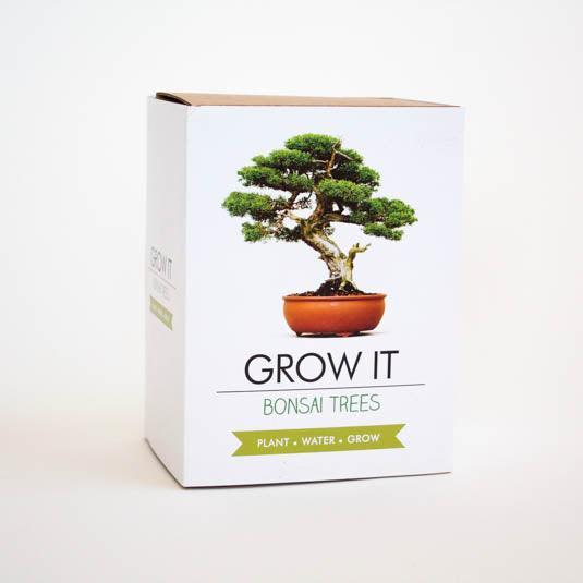 Produktbild Mags Grow it Bonsai (Pflanzensamen)