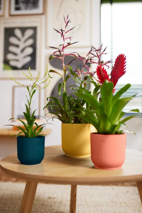 Produktbild Elho Blumentopf (16.10 cm)