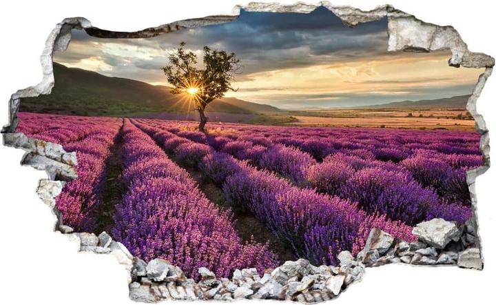 Image du produit Trenddeko 3D Fleur de lavande en Provence (32 x 60 cm)