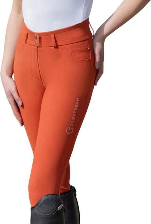 Lis du tigre-orange