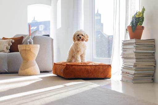Produktbild Designed by Lotte Ribbed (Hund)