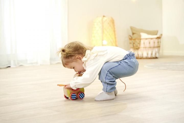 Actual product image Eichhorn Pull-along duck