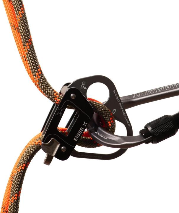 Actual product image Mammut 8.0 Alpine Dry climbing rope (50 m)