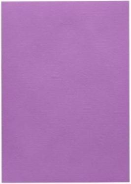 Immagine prodotto Artoz 1001 fiocchi di sambuco (100 g/m², 5 x, A4)