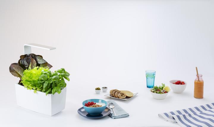 Image du produit Tregren Pot d'herbes T6 (34.50 cm)