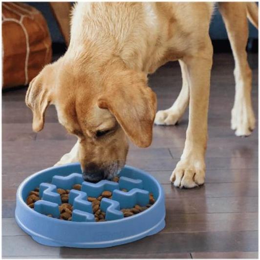 Actual product image Outward Hound Slow bowl Fun Feeder Notch for dogs Mini