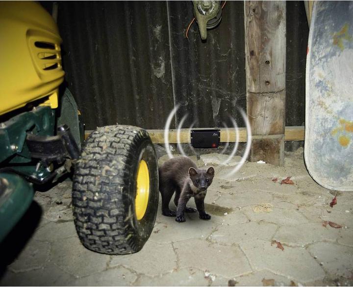 Actual product image Gardigo Marten Free Mobile