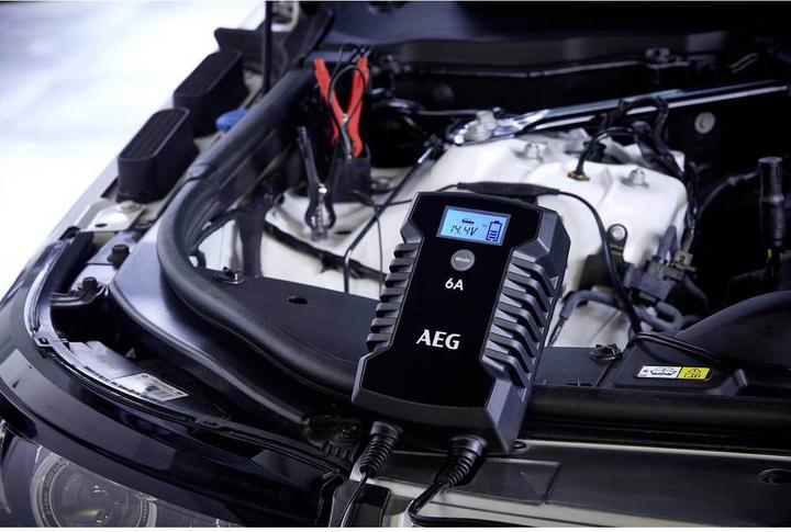 Actual product image AEG LD 6 (12V, 6V, 0.65 A)