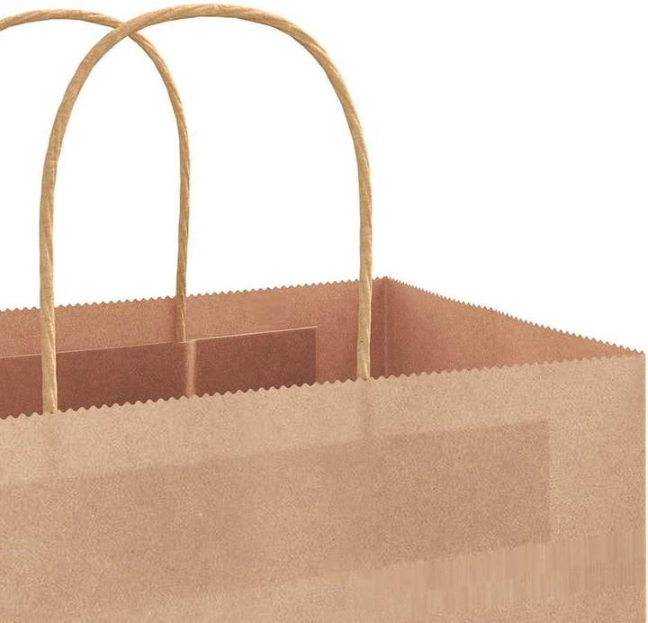 Image du produit VidaXL Sacs en papier kraft 50 pcs. avec anse Marron 22x11x28 cm Sac en papier (Pochette cadeau, 50 x)