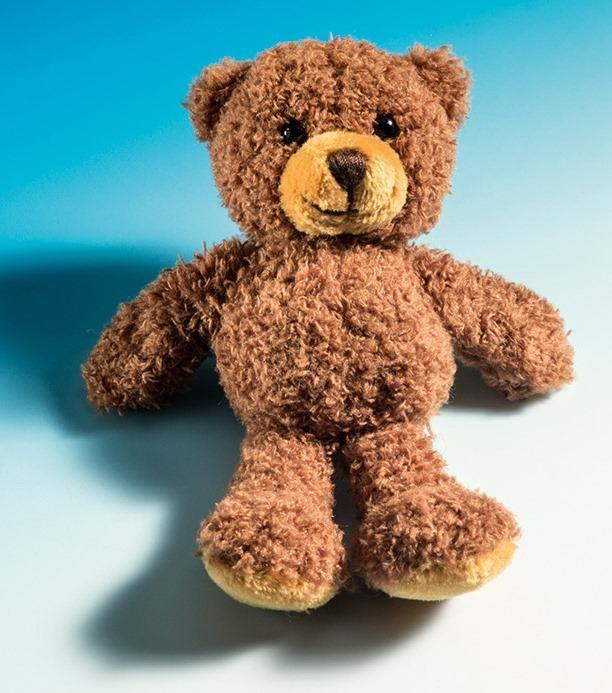 Actual product image Schaffer Magnetics Teddy Tom (10 cm)