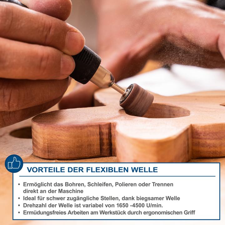 Image du produit Scheppach Deco Flex SL
