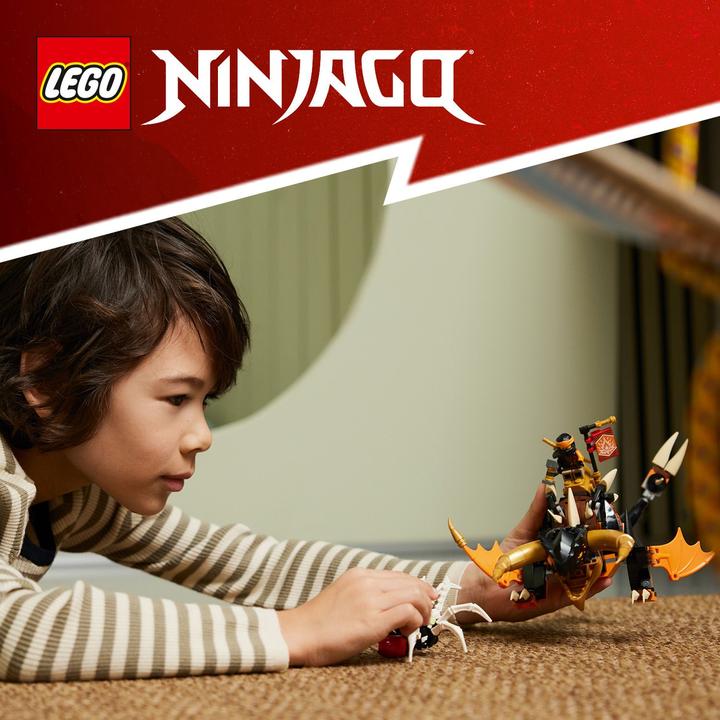Immagine prodotto LEGO 71782 Cole's Earth Dragon EVO (71782, LEGO Ninjago)
