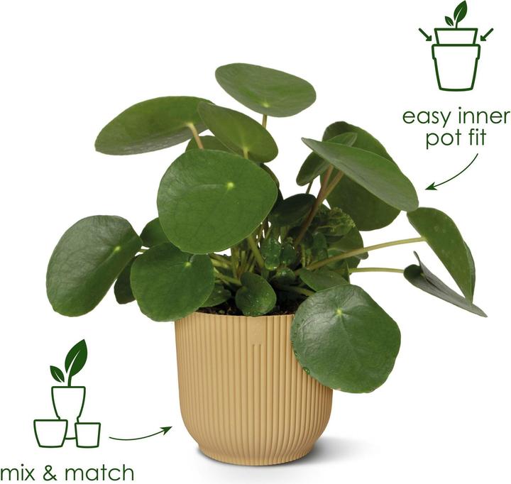 Produktbild Elho Vibes (25 cm)