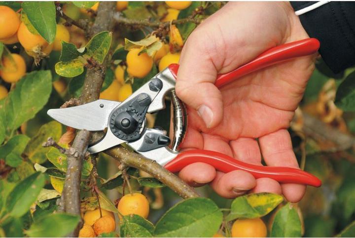 Actual product image Felco Garden shears 6