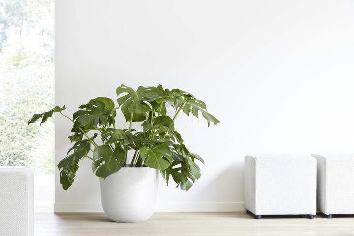 Image du produit Ecopots Oslo (45 cm)