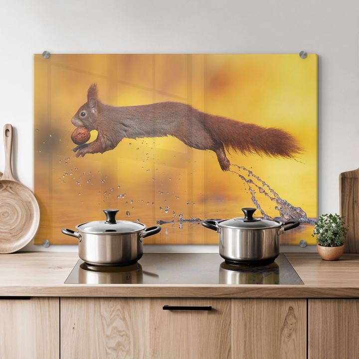 Produktbild Trenddeko van Duijn - Eichhörnchen im Sprung (40 x 60 cm)