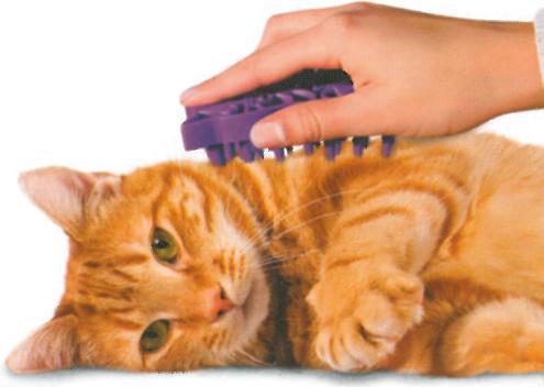 Produktbild KONG Zoom Groom (Katze)