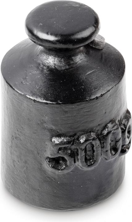 Image du produit Kern M3 Poids du bouton 500 g / Fonte 366-93
