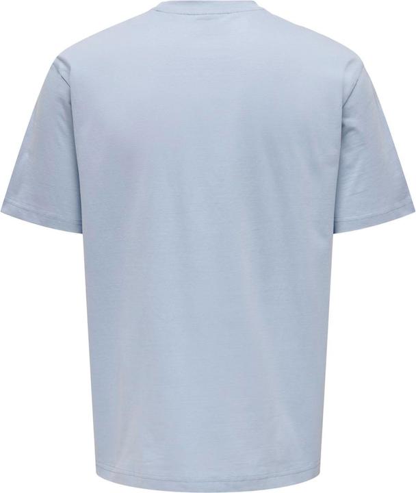 Actual product image Only & Sons Loose Fit T-Shirt (S)