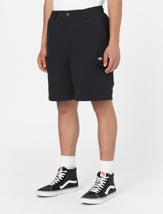 Actual product image Dickies Jackson Cargo Shorts (S, L)