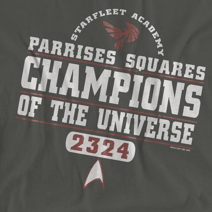Actual product image Unisex Adult Champions T-Shirt (S)