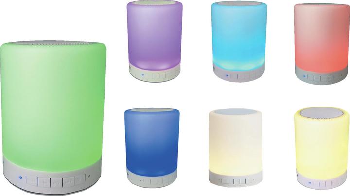 Denver BTL-30 (Rechargeable battery operated)