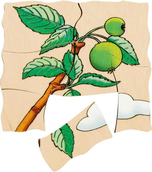 Image du produit Beleduc Apple (30 pièces)