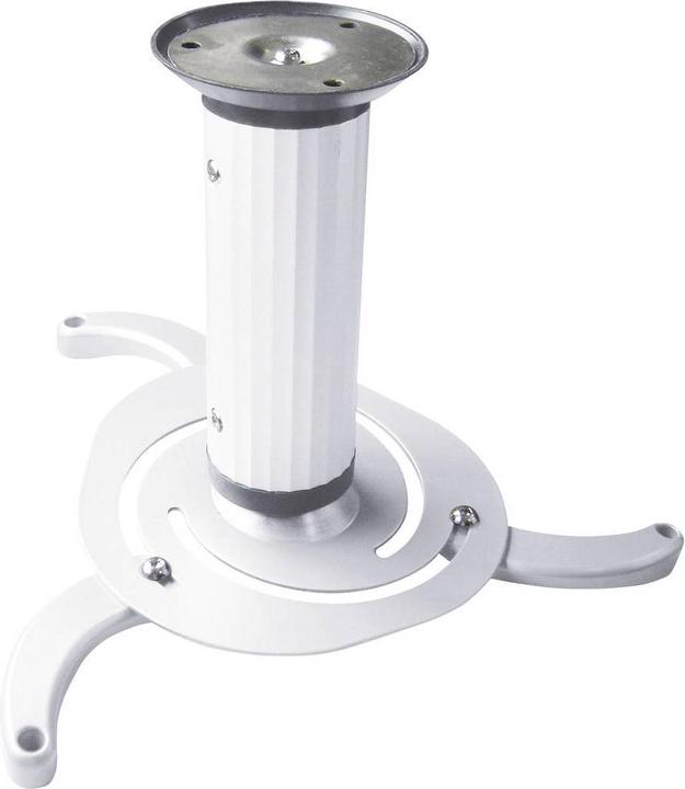 myWall H 16-2 WL (Ceiling)