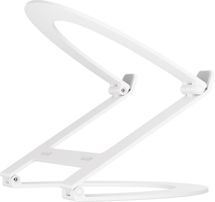 Actual product image TwelveSouth Curve Flex