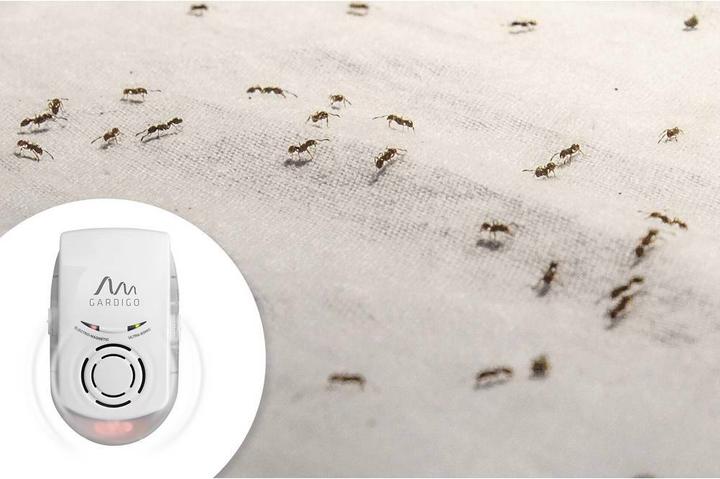 Actual product image Gardigo Vermin Defense Plus