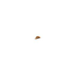 Image du produit Royal Canin British Shorthair (Junior, 1 pcs, 400 g)