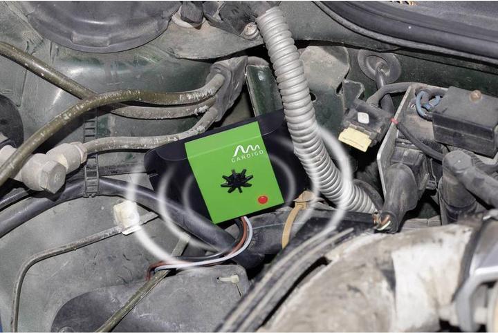 Actual product image Gardigo Ultrasonic marten defence