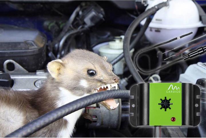 Actual product image Gardigo Ultrasonic marten defence