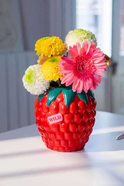 Image du produit Doiy Farmers' Market, Raspberry, Vase (1 x, 14,5 x 14,5 x 20 cm)