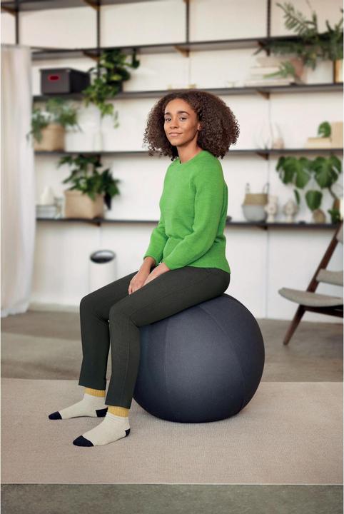 Immagine prodotto Leitz Sedile Ball Active Ø 55cm grigio velluto (55 cm)