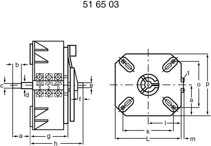 Actual product image Thalheimer Regulating transformer