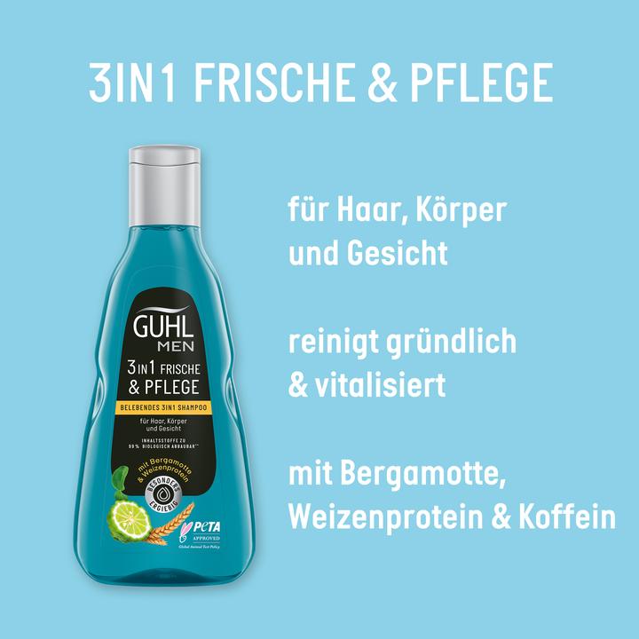 Produktbild Guhl Men 3in1 Shampoo Frische & Pflege (250 ml, Flüssiges Shampoo)