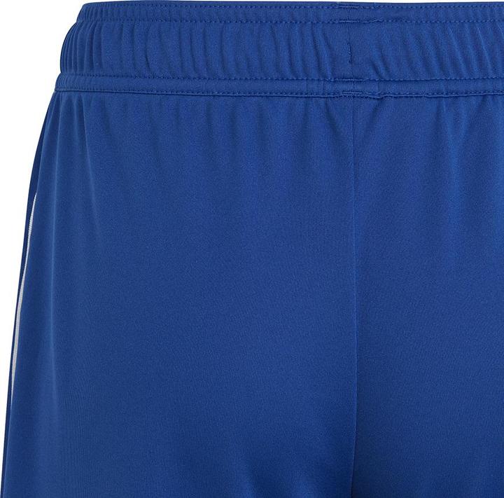 Actual product image adidas Tiro 23 training shorts kids (176)