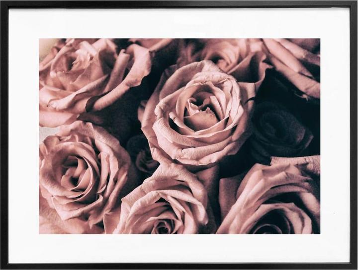 Produktbild Trenddeko Rosa Rosen im Vintagestil (30 x 24 cm)