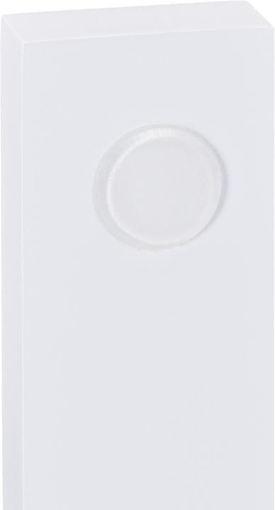 Image du produit Relaxdays Support à épices pour le réfrigérateur, étagère de rangement pour la cuisine (42 x 20 x 74 cm)