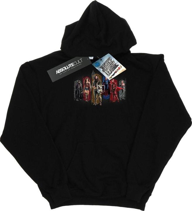 Produktbild Justice League Movie Team Hexagons Kapuzenpullover (M)